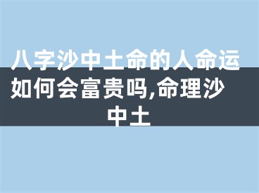 八字沙中土命的人命运如何会富贵吗,命理沙中土