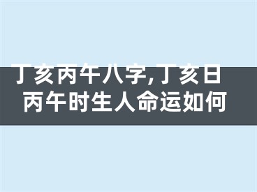 丁亥丙午八字,丁亥日丙午时生人命运如何