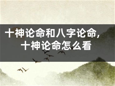 十神论命和八字论命,十神论命怎么看