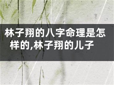 林子翔的八字命理是怎样的,林子翔的儿子