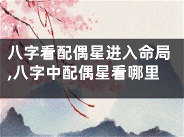 八字看配偶星进入命局,八字中配偶星看哪里