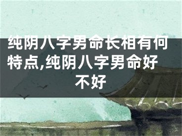 纯阴八字男命长相有何特点,纯阴八字男命好不好