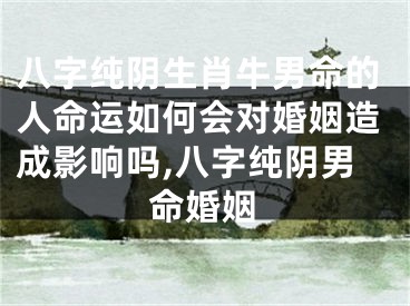 八字纯阴生肖牛男命的人命运如何会对婚姻造成影响吗,八字纯阴男命婚姻