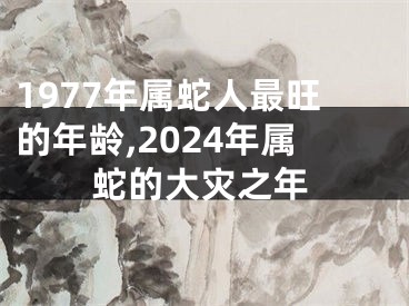 1977年属蛇人最旺的年龄,2024年属蛇的大灾之年