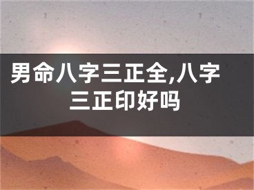 男命八字三正全,八字三正印好吗