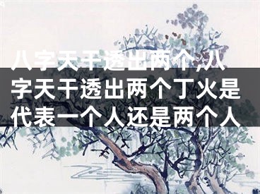 八字天干透出两个,八字天干透出两个丁火是代表一个人还是两个人