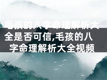 毛孩的八字命理解析大全是否可信,毛孩的八字命理解析大全视频