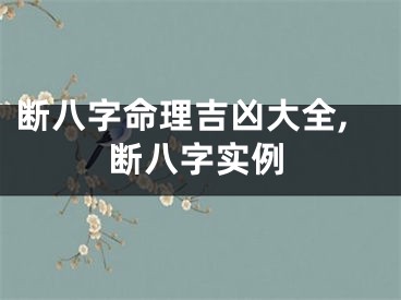 断八字命理吉凶大全,断八字实例