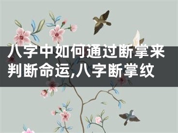 八字中如何通过断掌来判断命运,八字断掌纹