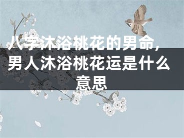八字沐浴桃花的男命,男人沐浴桃花运是什么意思