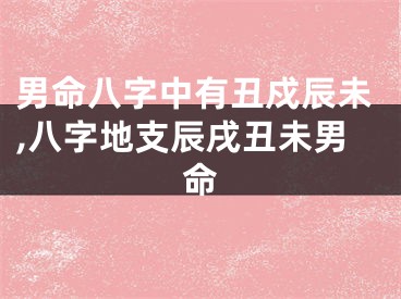 男命八字中有丑戍辰未,八字地支辰戌丑未男命