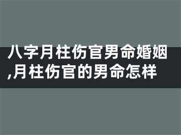八字月柱伤官男命婚姻,月柱伤官的男命怎样