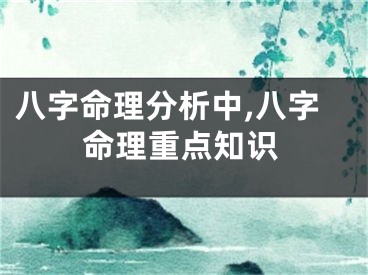 八字命理分析中,八字命理重点知识