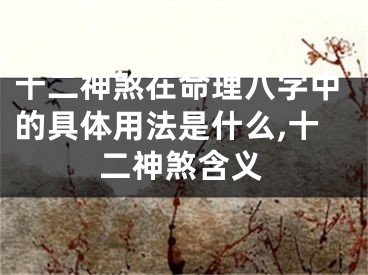 十二神煞在命理八字中的具体用法是什么,十二神煞含义