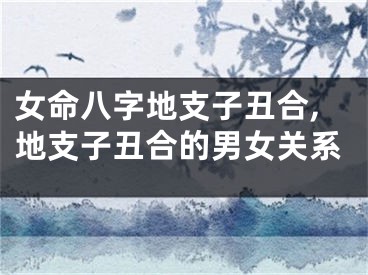 女命八字地支子丑合,地支子丑合的男女关系
