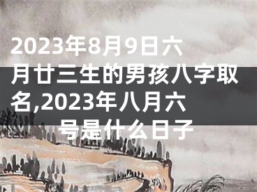 2023年8月9日六月廿三生的男孩八字取名,2023年八月六号是什么日子