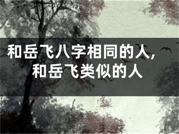 和岳飞八字相同的人,和岳飞类似的人