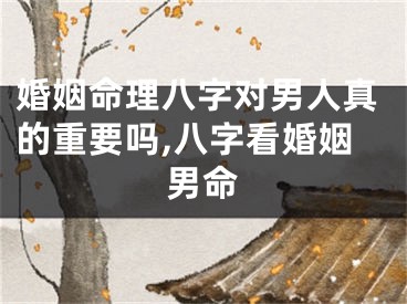 婚姻命理八字对男人真的重要吗,八字看婚姻男命