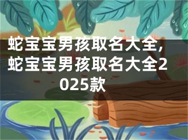 蛇宝宝男孩取名大全,蛇宝宝男孩取名大全2025款