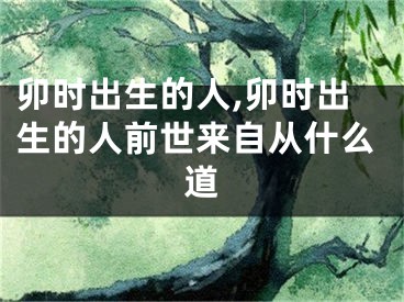 卯时出生的人,卯时出生的人前世来自从什么道