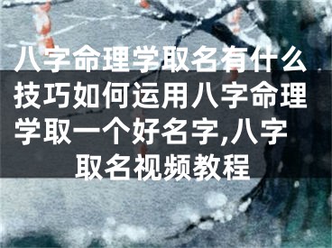 八字命理学取名有什么技巧如何运用八字命理学取一个好名字,八字取名视频教程