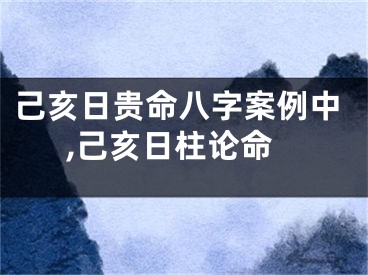 己亥日贵命八字案例中,己亥日柱论命
