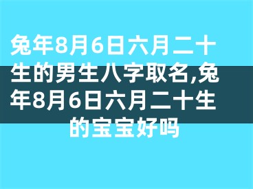 兔年8月6日六月二十生的男生八字取名,兔年8月6日六月二十生的宝宝好吗