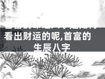 首富的命理八字是如何看出财运的呢,首富的生辰八字