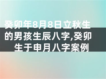 癸卯年8月8日立秋生的男孩生辰八字,癸卯生于申月八字案例