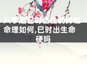 八字是巳时出生的男性命理如何,巳时出生命硬吗