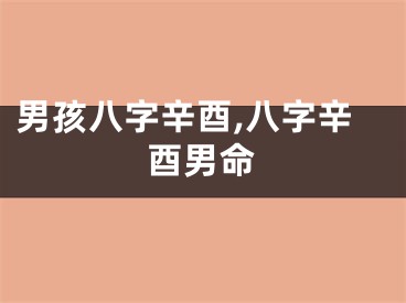 男孩八字辛酉,八字辛酉男命