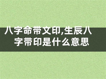 八字命带文印,生辰八字带印是什么意思