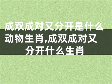 成双成对又分开是什么动物生肖,成双成对又分开什么生肖