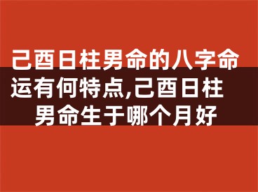 己酉日柱男命的八字命运有何特点,己酉日柱男命生于哪个月好