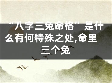 “八字三兔命格”是什么有何特殊之处,命里三个兔