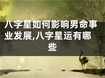八字星如何影响男命事业发展,八字星运有哪些