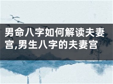男命八字如何解读夫妻宫,男生八字的夫妻宫