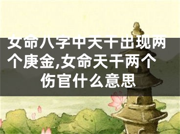 女命八字中天干出现两个庚金,女命天干两个伤官什么意思