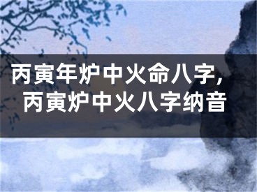 丙寅年炉中火命八字,丙寅炉中火八字纳音
