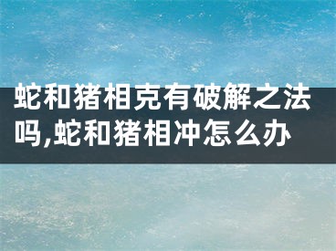 蛇和猪相克有破解之法吗,蛇和猪相冲怎么办