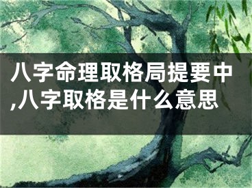 八字命理取格局提要中,八字取格是什么意思