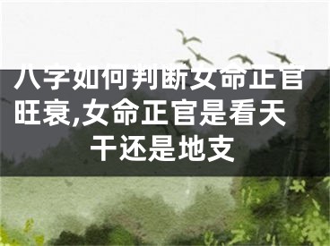 八字如何判断女命正官旺衰,女命正官是看天干还是地支