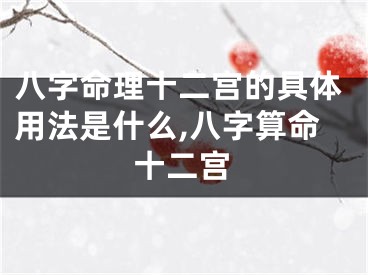 八字命理十二宫的具体用法是什么,八字算命十二宫