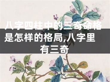 八字四柱中的三奇命格是怎样的格局,八字里有三奇