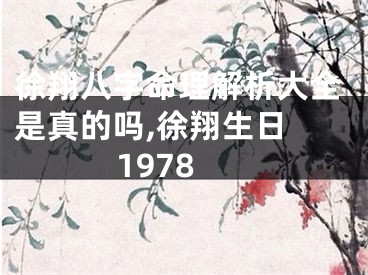 徐翔八字命理解析大全是真的吗,徐翔生日 1978
