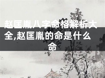 赵匡胤八字命格解析大全,赵匡胤的命是什么命