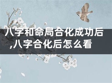 八字和命局合化成功后,八字合化后怎么看