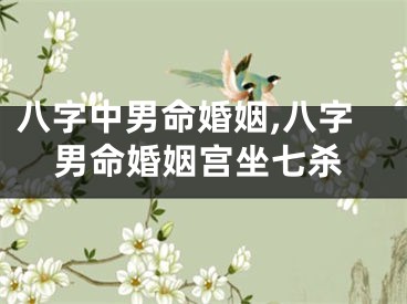 八字中男命婚姻,八字男命婚姻宫坐七杀
