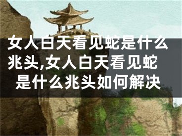 女人白天看见蛇是什么兆头,女人白天看见蛇是什么兆头如何解决