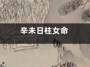 辛未日柱女命